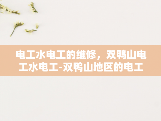 电工水电工的维修，双鸭山电工水电工-双鸭山地区的电工水电工维修服务