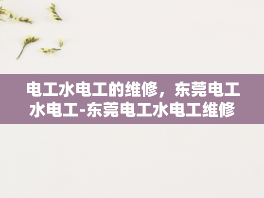 电工水电工的维修，东莞电工水电工-东莞电工水电工维修服务，专业与效率的完美结合